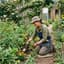 Gardener