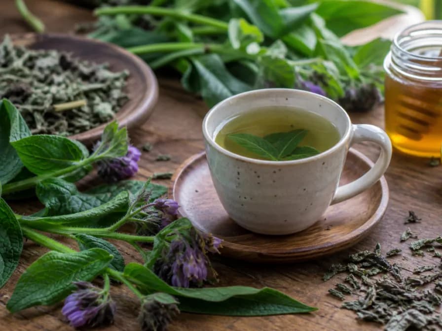 Comfrey Tea Liquid Fertilizer