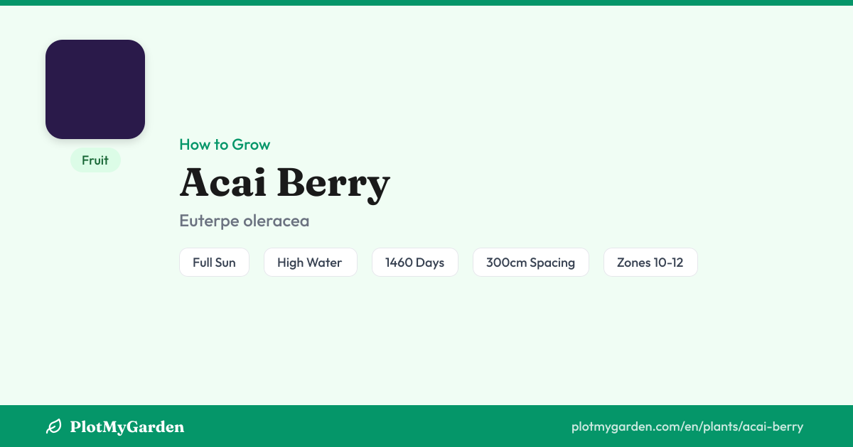 Acai Berry — Growing Guide, Companion Plants & Care Tips | PlotMyGarden