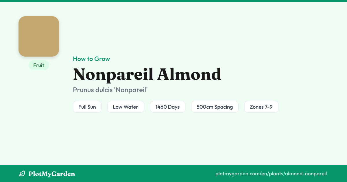Nonpareil Almond — Growing Guide, Companion Plants & Care Tips ...
