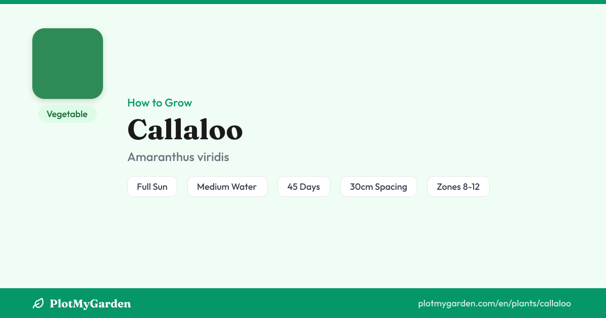 Callaloo — Growing Guide, Companion Plants & Care Tips | PlotMyGarden