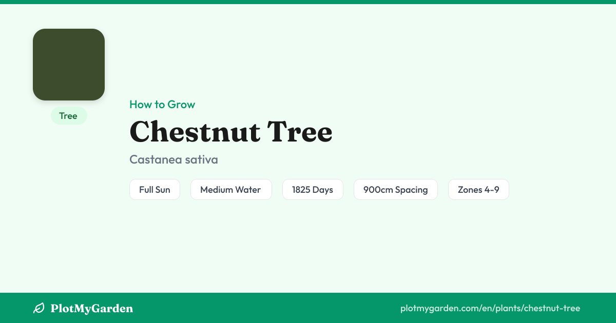 Can You Grow Chestnut Tree? Zones 4-9, Size & Care