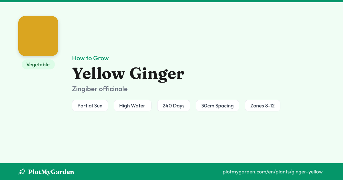Yellow Ginger — Growing Guide, Companion Plants & Care Tips | PlotMyGarden