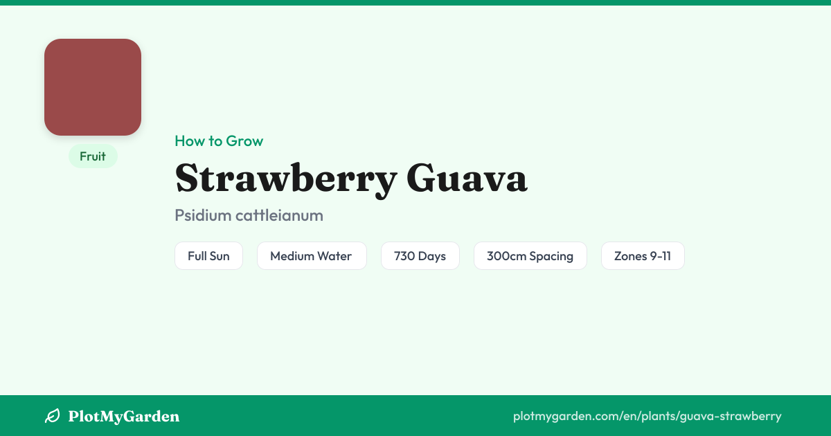Strawberry Guava — Growing Guide, Companion Plants & Care Tips ...