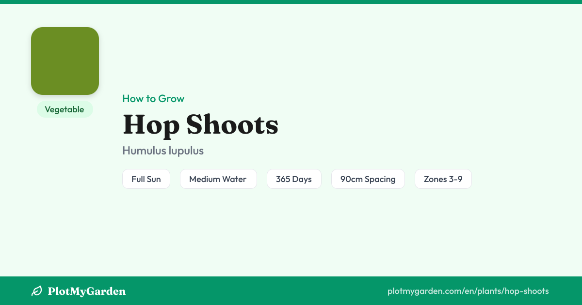 Hop Shoots: How to Grow, Water & Harvest (~1 year)