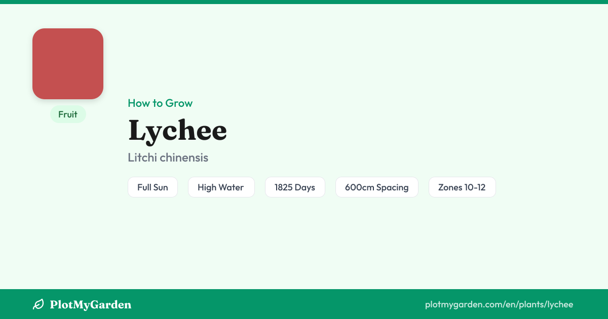 Can You Grow Lychee? Zones 10-12, Fruit in ~5 years