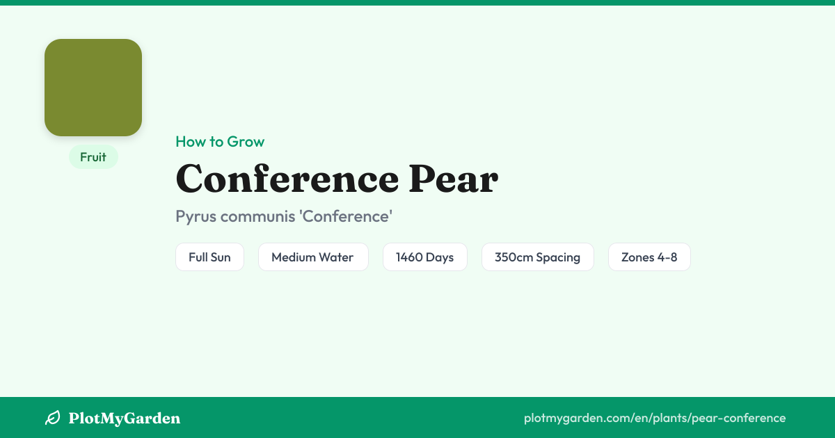Can You Grow Conference Pear? Zones 4-8, Fruit in ~4 years