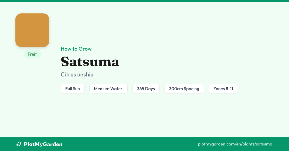 PLANTS UP SATSUMA