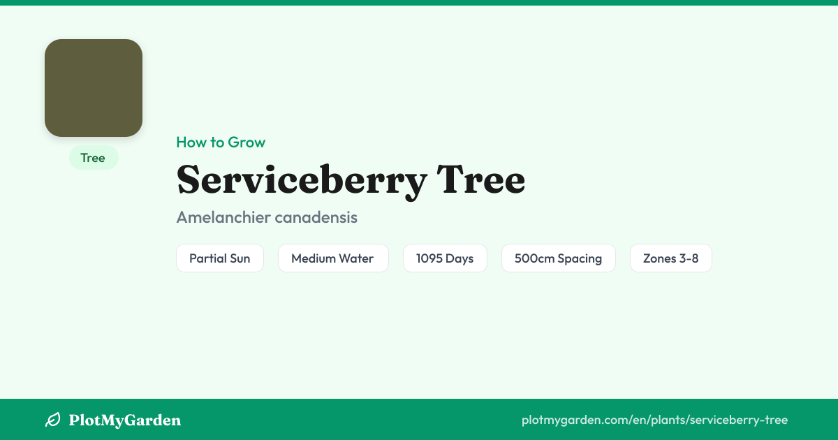 Serviceberry Tree — Growing Guide, Companion Plants & Care Tips ...