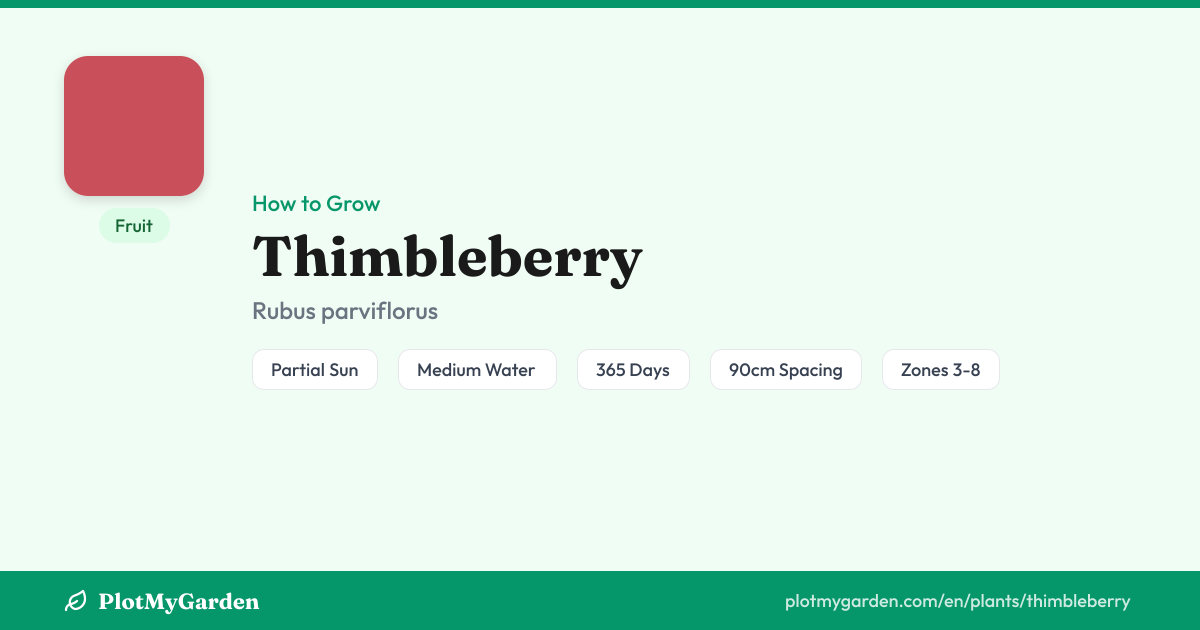Thimbleberry — Growing Guide, Companion Plants & Care Tips | PlotMyGarden