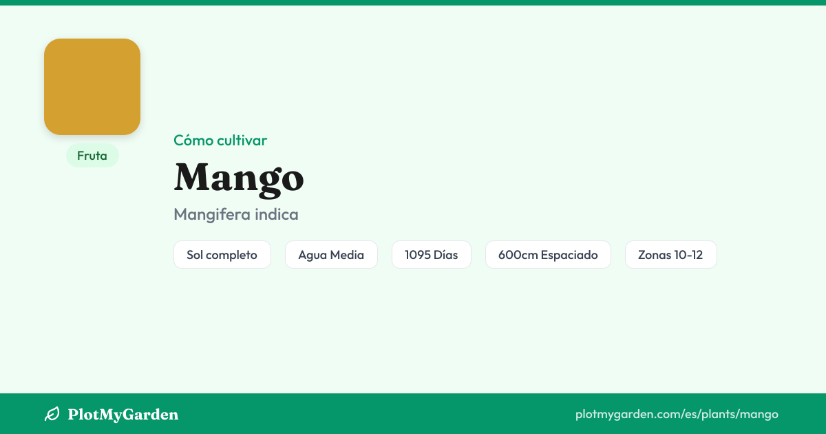 ¿Puedes cultivar Mango? Zonas 10-12, fruta en ~3 años