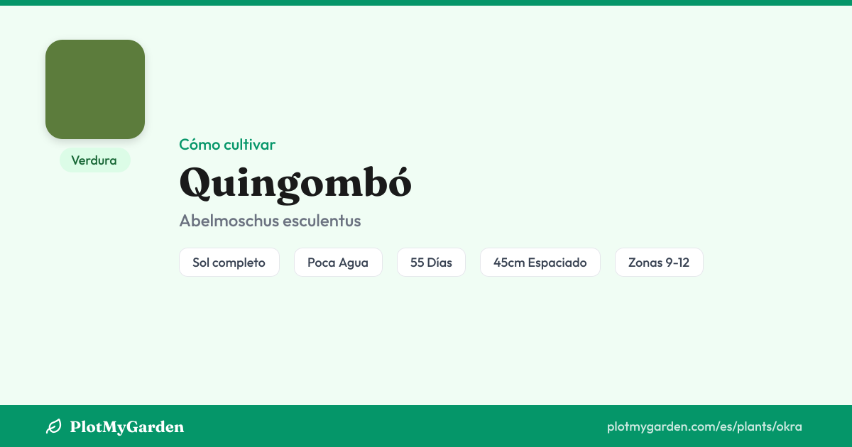 Quingombó — Guía de Cultivo, Plantas Complementarias y Cuidados ...