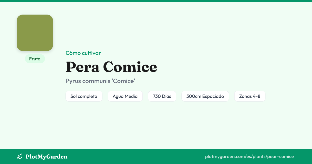 Pera Comice — Guía de Cultivo, Plantas Complementarias y Cuidados ...